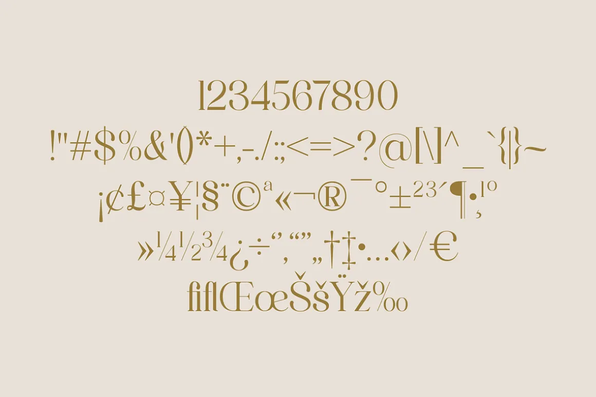 Quahon Modern Stylish Font