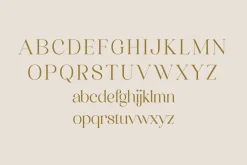 Quahon Modern Stylish Font