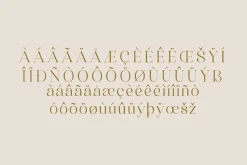 Quahon Modern Stylish Font