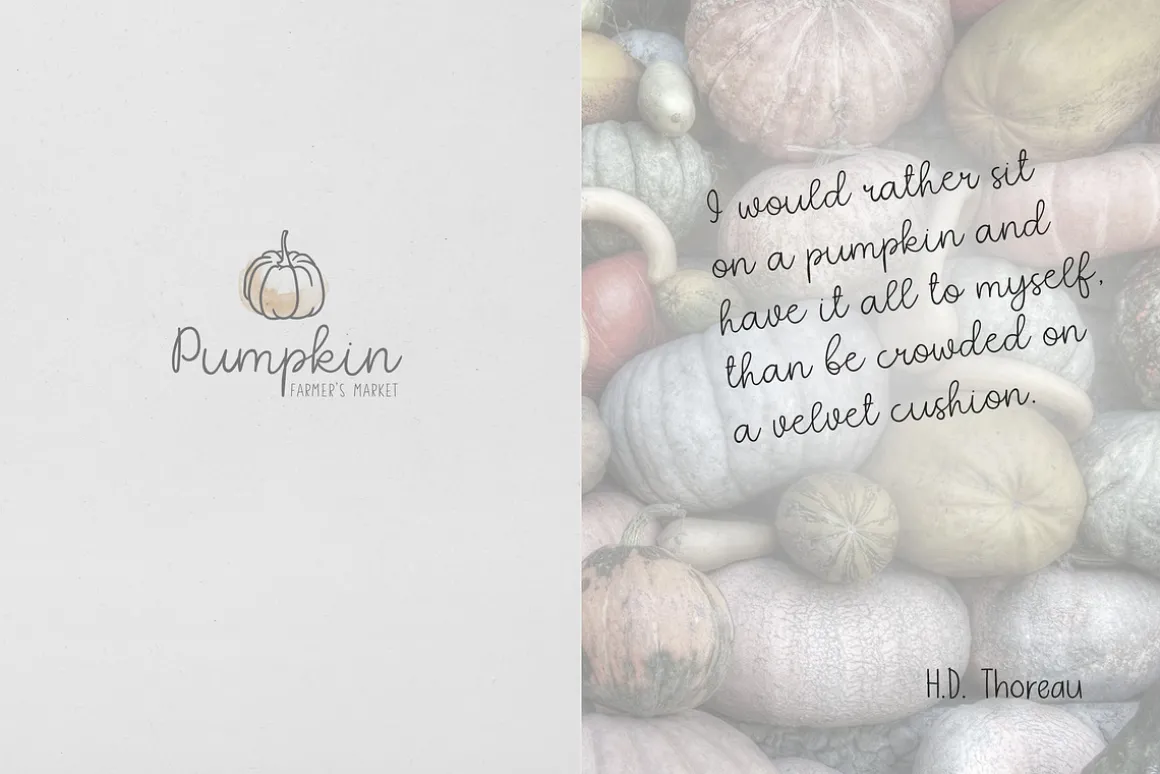 Quaint Garden Floral Font +EXTRAS