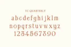 Quarterly - Quirky Handwritten Font