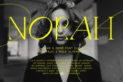 Quarx - Sans & Serif Modern Font Duo