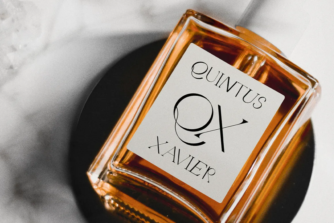 Quarx - Sans & Serif Modern Font Duo