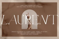 Quarx - Sans & Serif Modern Font Duo