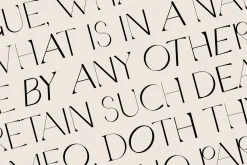 Quarx - Sans & Serif Modern Font Duo