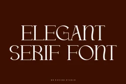 Qucamo - Elegant Serif Font