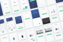 Quikpay Remittance IOS app ui kit