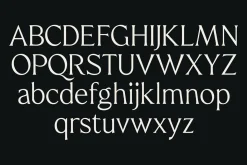 Quine | Modern Serif