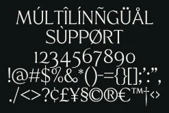 Quine | Modern Serif