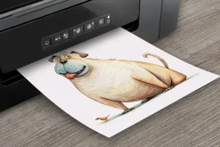 Quirky Dog Clipart Bundle