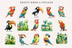 Quirky Rainforest Animals
