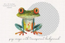 Quirky Rainforest Animals