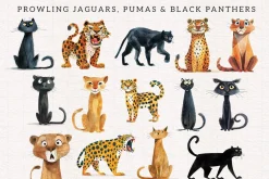 Quirky Rainforest Animals