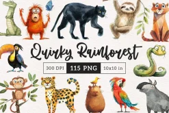 Quirky Rainforest Animals