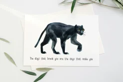 Quirky Rainforest Animals