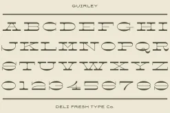 Quirley: A Western Slab Serif Font