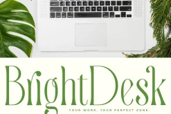 Quiselle Elegant Display Serif