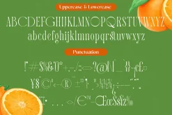 Quiselle Elegant Display Serif