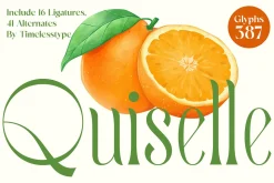 Quiselle Elegant Display Serif