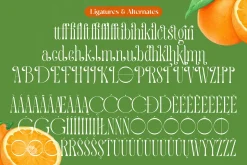 Quiselle Elegant Display Serif