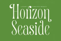 Quiselle Elegant Display Serif