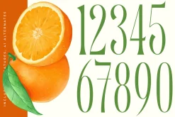 Quiselle Elegant Display Serif