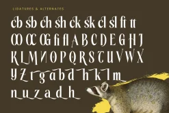Rachon Bold Tall Display Serif