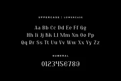 Ragkote - Modern Serif Font