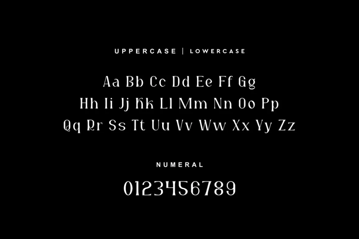 Ragkote - Modern Serif Font