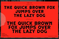 Ragnor - Futuristic Y2K Fonts