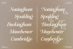 Raillouise Stylish Script Font