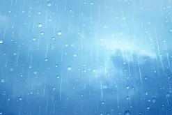 Rain and Weather Brushes