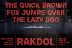 Rakdol - Display Sans Serif Fonts