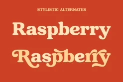 Raspberie - Retro Modern Font