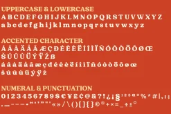 Raspberie - Retro Modern Font