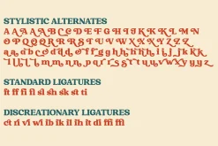 Raspberie - Retro Modern Font