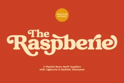 Raspberie - Retro Modern Font