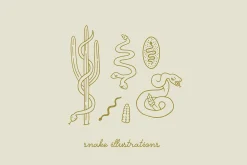 Rattlesnake