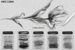 Real Pencil & Canvas for Procreate