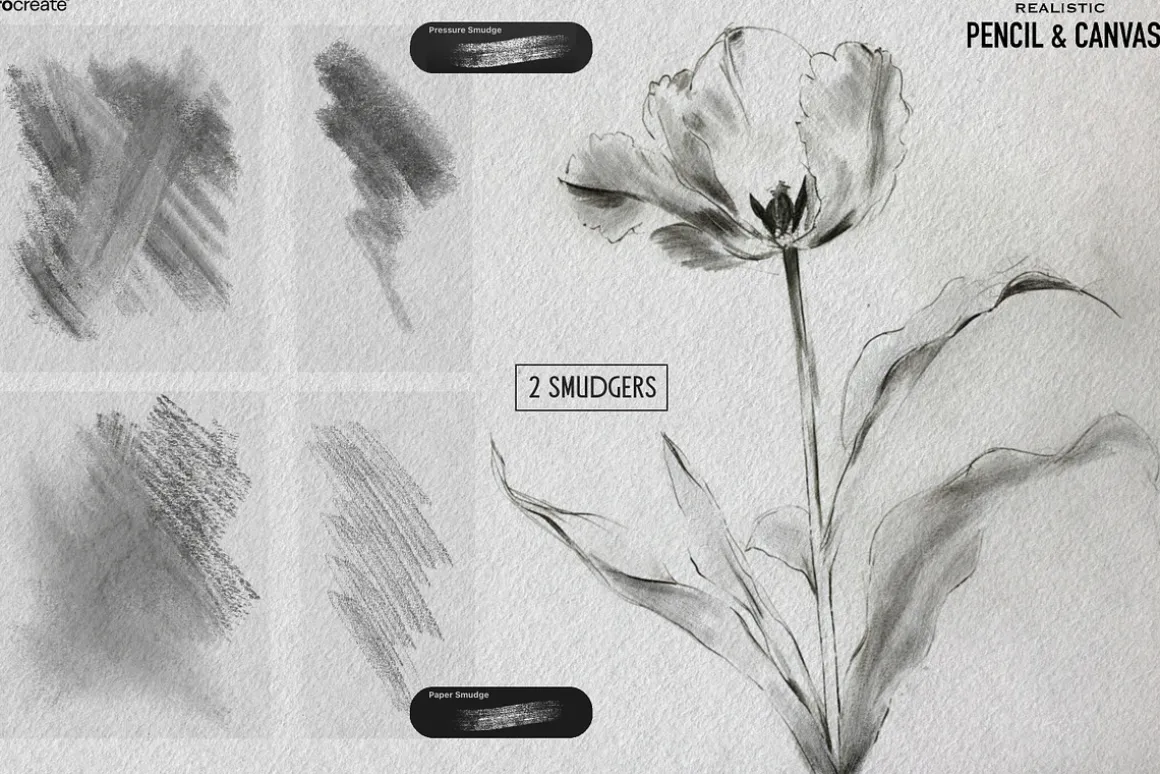 Real Pencil & Canvas for Procreate