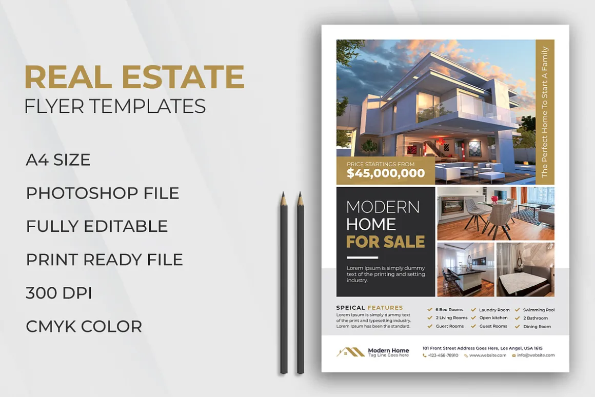 Real Estate Flyer Template