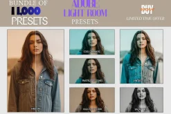 Realistic HDR Preset Pack OF 11,000