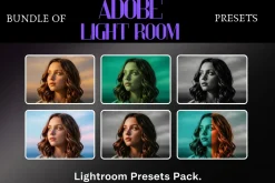 Realistic HDR Preset Pack OF 11,000