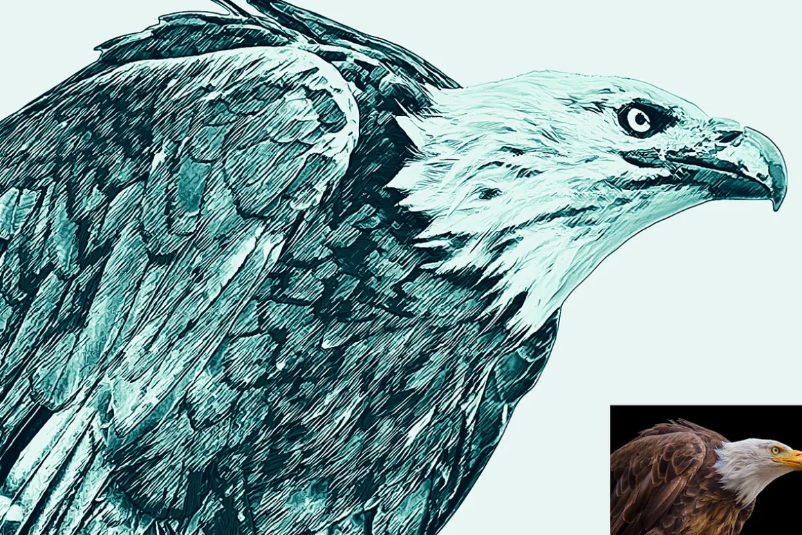 Realistic Line Drawing Ps Action