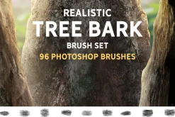 Realistic Tree bark brush set