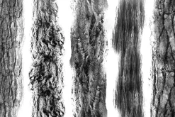 Realistic Tree bark brush set