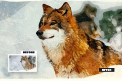 Real Painting Photo Effect