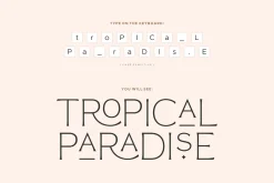 Reborn - Modern Chic Font