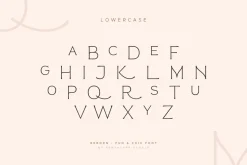 Reborn - Modern Chic Font