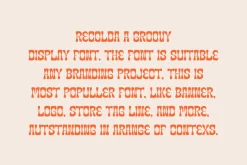 Recolda - Groovy & Retro Font
